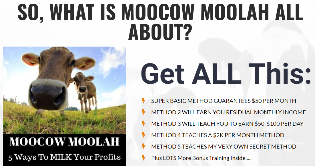 Moocow Moolah Download