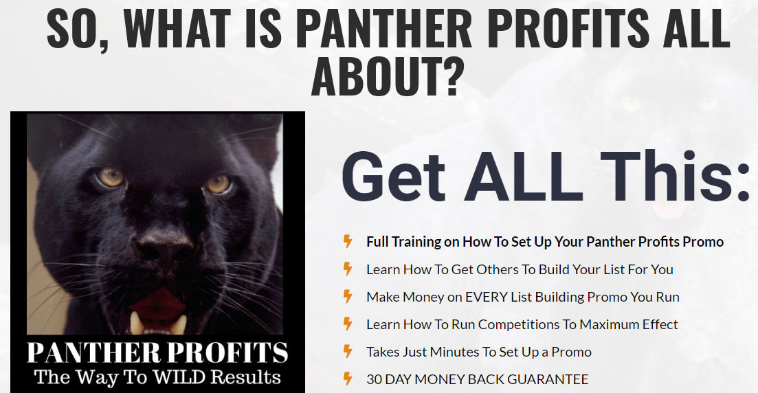 Panther Profits Download