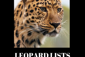 Dawud Islam - Leopard Lists Download