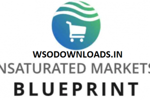 Daniel Spurman - Unsaturated Market Blueprint Download