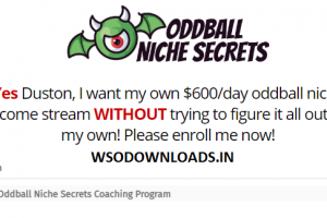 Duston McGroarty - Oddball Niche Secrets Coaching Program Download