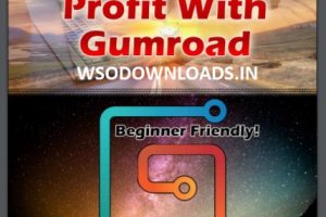 GUMROAD VOL1 - 101 WAYS TO PROFIT WITH GUMROAD Download