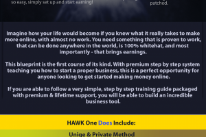 HAWK One – SELLING MADNESS – 2019 Unique Method to $3K Weekly Download