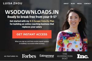 Luisa Zhou – Employee to Entrepreneur Download