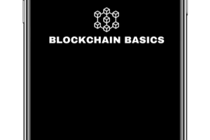 BLOCKCHAIN BASICS $749 - FREE Download