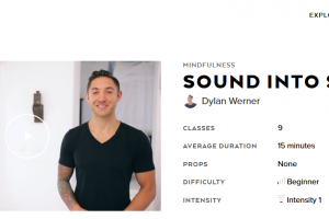 Dylan Werner - AloMoves - Sound Into Silence Download