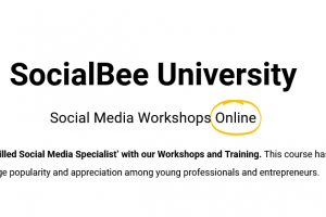 SocialBee – SocialBee University Download
