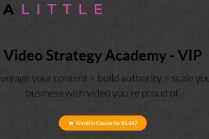 Trena Little – Video Strategy Academy (VIP) Download