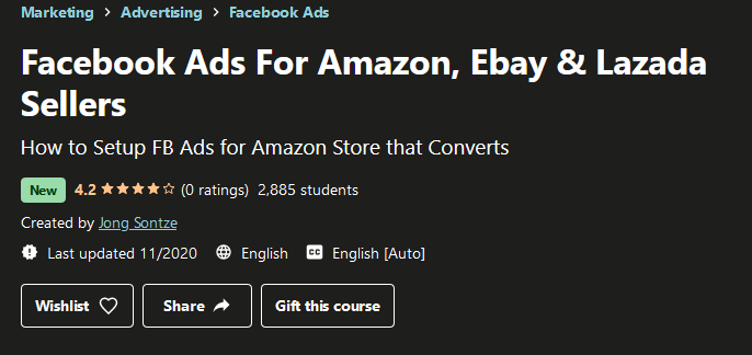 Facebook Ads For Amazon, Ebay & Lazada Sellers Free Download