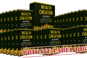 Wealth Creation Blueprint PLR - PLRxtreme Free Download