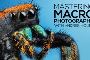 Andres Moline - Fstoppers – Mastering Macro Photography Download