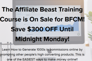 Deshayla Flowers – The Affiliate Beast Download