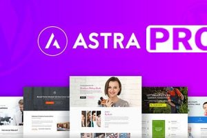 Astra Pro – Responsive Multi-Purpose Theme For WordPress Free Download
