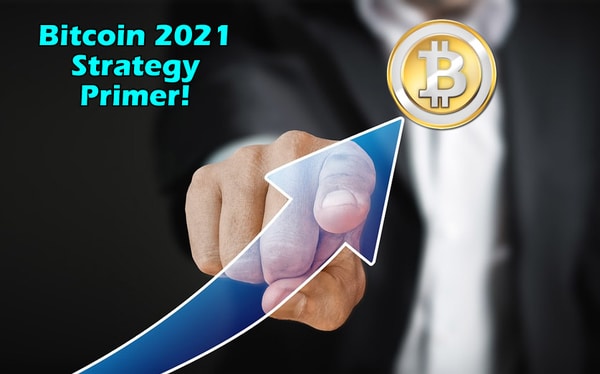 Bitcoin 2021 Strategy Primer Free Download