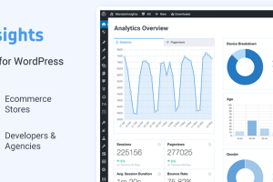 Monster Insights – The Best WordPress Analytics Plugin Plus Addons Free Download