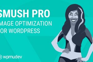 Smush Pro WordPress Plugin Free Download
