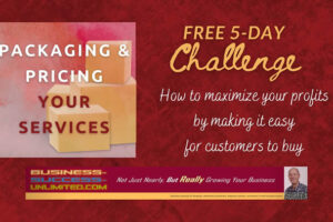 How to 'Package & Price Your Services' in just 5 Days Free Download