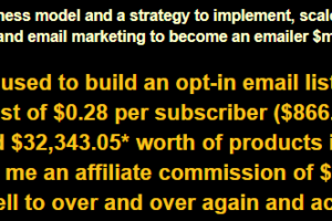 How to be an eMailer $Millionaire on Autopilot in 5 Steps Blueprint Download