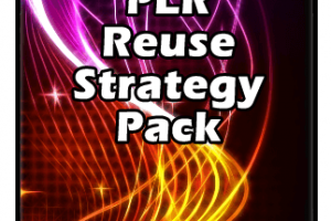 PLR Reuse Power Strategy Pack Free Download