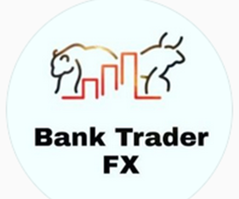 Bank TraderFX SA Course Free Download