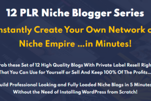 12 PLR Niche Blogs Bundle Free Download