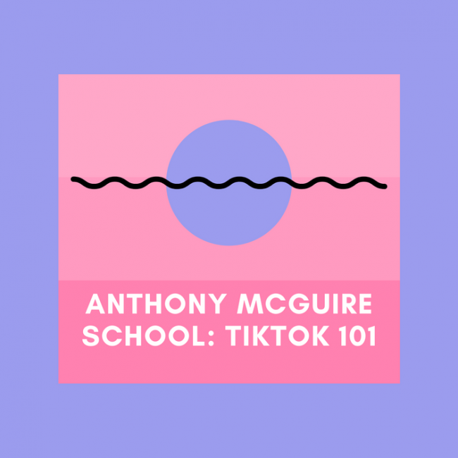 Anthony McGuire – TikTok Marketing & Advertising 101 Download