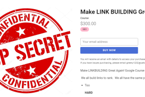 Holly Starks – Make LINK BUILDING Great Again! Download