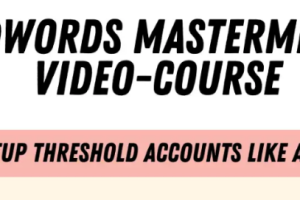 ADWORDS MASTERMIND - Complete Guide to Setting Up Unlimited AdWords Threshold Accounts Download